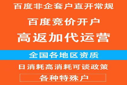 成功企业SEM竞价代运营案例研究